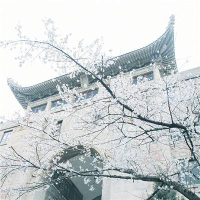 2024湖北省博物馆端午节预约门票时间及入口